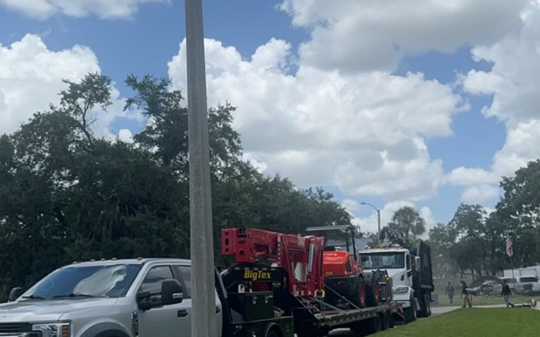 Common Tree Services Offered in Florida